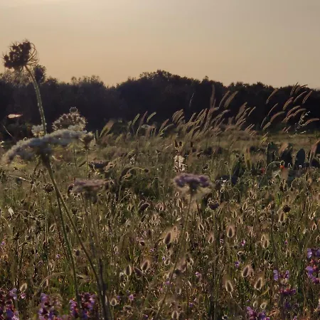 Tenuta Sofia בית חווה אוטרנטו