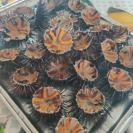 Tenuta Sofia Vakantieboerderij *