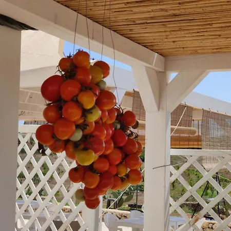 Alloggio per agriturismo Tenuta Sofia *