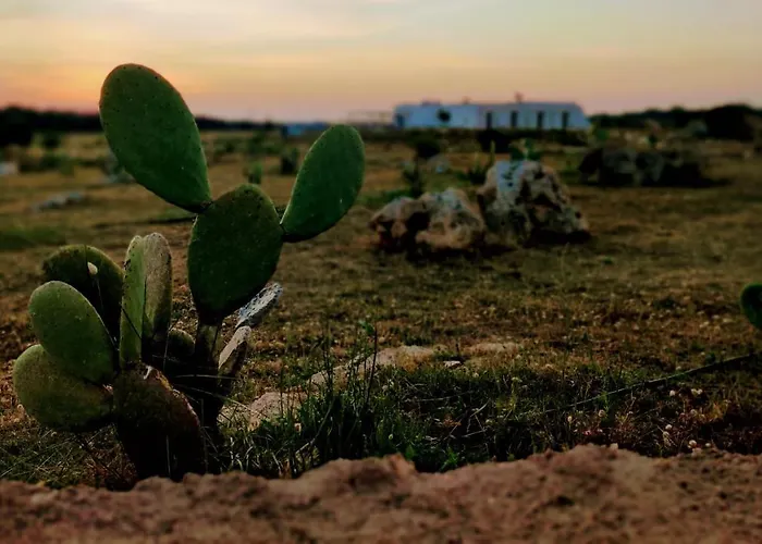 Alloggio per agriturismo Tenuta Sofia