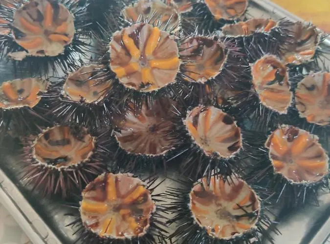 Tenuta Sofia Farma *