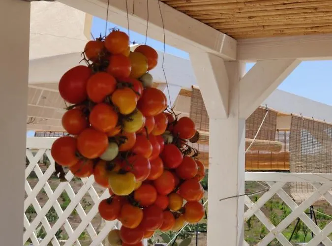 Alloggio per agriturismo Tenuta Sofia *